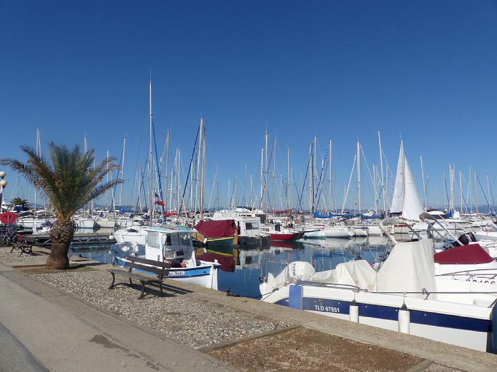 183 ILE DE PORQUEROLLES -4_000024.jpg